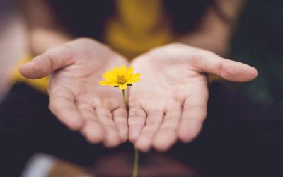 Learning to Forgive Yourself